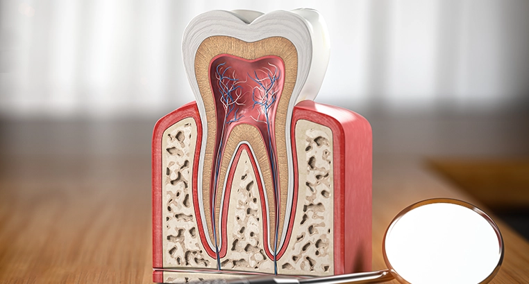 Fogászat Kecskeméten - Augusztin Medical Kft.